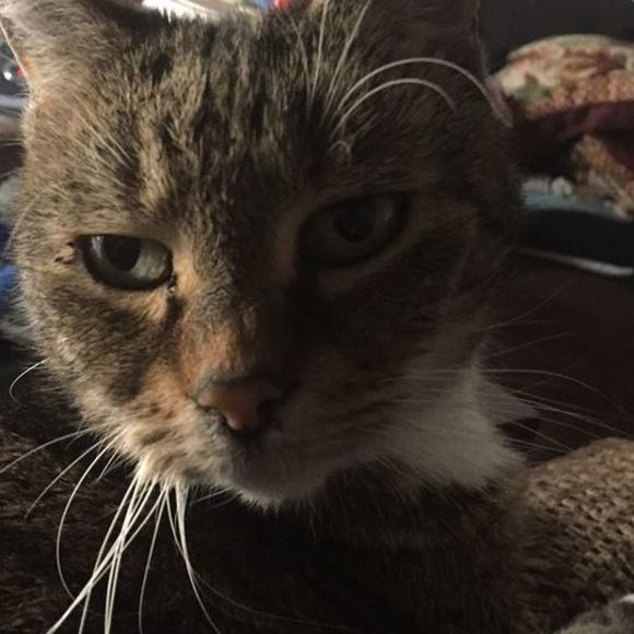 Meet your Posher, Joseph - Picture 1 of 1